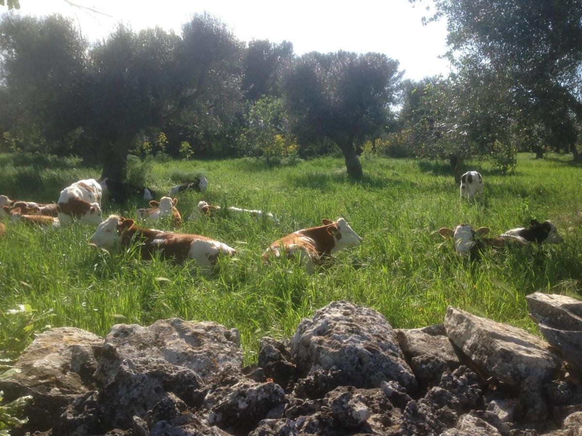 Masseria Nuove Caselle 3* Villa Castelli
